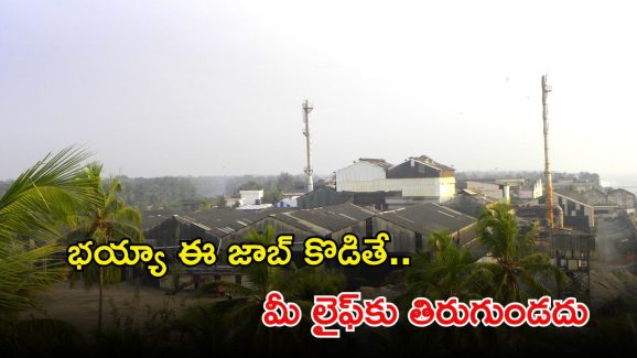IREL Recruitment: డిగ్రీ పాసైన వాళ్లందరూ అప్లై చేసుకోవచ్చు.. లక్షల్లో శాలరీలు.. ఇంకెందుకు ఆలస్యం..!