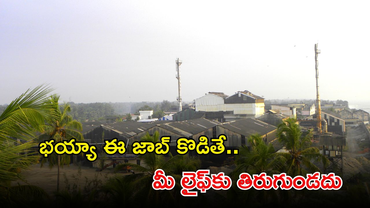 IREL Recruitment: డిగ్రీ పాసైన వాళ్లందరూ అప్లై చేసుకోవచ్చు.. లక్షల్లో శాలరీలు.. ఇంకెందుకు ఆలస్యం..!