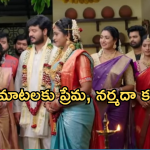 Illu Illalu Pillalu Today Episode: మరదలను దారుణంగా అవమానించిన కామాక్షి.. చందును కంట్రోల్లో పెట్టుకున్న శ్రీవల్లి..