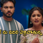 Illu Illalu Pillalu Today Episode: చందుకు గోరు ముద్దలు తినిపించిన శ్రీవల్లి.. ప్రేమని దారుణమైన అవమానం..