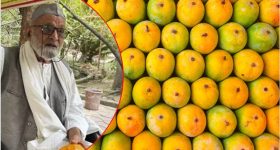 Mangao Man: ఇండియా మ్యాంగో మేన్ కలీం  @ 300
