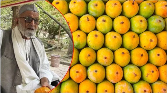 Mangao Man: ఇండియా మ్యాంగో మేన్ కలీం  @ 300