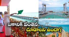 Trains Via Pamban Bridge: పంబన్ బ్రిడ్జిపై వెళ్లే రైళ్లు ఇవే.. మన స్టేట్ నుంచి బయల్దేరే రైలు ఇదే!