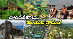 India's Green Village: దేశంలోనే ఫస్ట్ గ్రీన్ విలేజ్, ఖోనోమా గురించి తెలిస్తే ఆశ్చర్యపోవాల్సిందే!