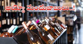 Liquor shops: మందుబాబులకు షాకింగ్ న్యూస్.. ఆ రోజు వైన్ షాపులు బంద్..