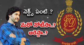 Southwest Airlines Flight: విమానంలో అందరి ముందే బట్టలు విప్పి.. సీటులో విసర్జించిన మహిళ, ఎందుకు అలా?