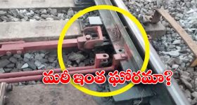 Single Movie : శ్రీ విష్ణు సింగిల్ మూవీ రిలీజ్ డేట్ ఫిక్స్, క్రేజీ వీడియోతో కన్ఫర్మేషన్