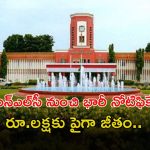 NLC Recruitment: డిగ్రీతో ఎన్‌ఎల్‌సీ నుంచి భారీ నోటిఫికేషన్.. ఈ జాబ్ వస్తే రూ.1,00,000 పైగా జీతం..