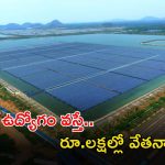NTPC-NGEL: డిగ్రీ ఉన్న వారికి గోల్డెన్ ఛాన్స్.. ఈ జాబ్ వస్తే లక్షల్లో జీతం.. వెంటనే దరఖాస్తు చేసుకోండి..