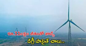 NTPC Recruitment: రూ.11 లక్షల జీతంతో ఎన్టీపీలో ఉద్యోగాలు.. డిగ్రీ పాసైతే చాలు భయ్యా.. మరి ఇంకెందుకు ఆలస్యం