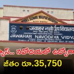 NVS Recruitment: డిగ్రీ అర్హతతో నవోదయ విద్యాలయ సమితిలో ఉద్యోగాలు.. నెలకు రూ.35,750 జీతం.. వారం రోజులే..!