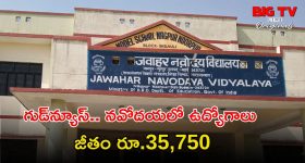 Smartphone Tips: వేసవిలో ఫోన్లు పేలతాయ్..మీరు గానీ ఇలా చేస్తున్నారా?