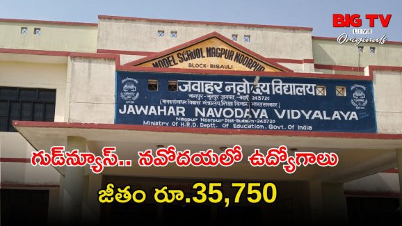 NVS Recruitment: డిగ్రీ అర్హతతో నవోదయ విద్యాలయ సమితిలో ఉద్యోగాలు.. నెలకు రూ.35,750 జీతం.. వారం రోజులే..!
