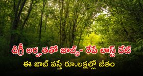 Kashmir Tour: రైల్లో కశ్మీర్ కు.. కొత్త లైన్ వచ్చేస్తోంది.. సమ్మర్ టూర్ ప్లాన్ చేసుకోండి!