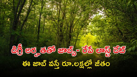 NGT Recruitment: నేషనల్ గ్రీన్ ట్రిబ్యునల్‌లో ఉద్యోగాలు.. ఈ అర్హతలు ఉంటే చాలు.. రేపే లాస్ట్ డేట్