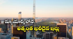 White Hair: ఇలా చేస్తే.. జన్మలో తెల్ల జుట్టు రాదు !