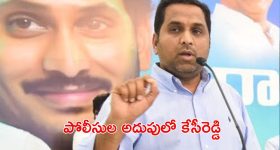 Raj Kesi Reddy: సిట్ అదుపులో రాజ్ కేసీరెడ్డి