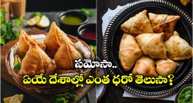Rajiv Yuva Vikasam Scheme: రాజీవ్ యువ వికాసం అప్ డేట్స్.. ఒక్క ఛాన్స్ ప్లీజ్, పొడిగించాలని ఒత్తిడి