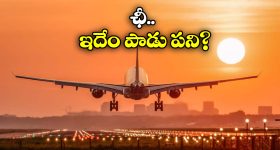 Southwest Airlines Flight: విమానంలో అందరి ముందే బట్టలు విప్పి.. సీటులో విసర్జించిన మహిళ, ఎందుకు అలా?