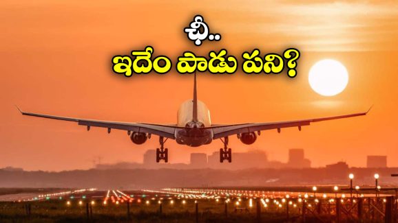 Southwest Airlines Flight: విమానంలో అందరి ముందే బట్టలు విప్పి.. సీటులో విసర్జించిన మహిళ, ఎందుకు అలా? Southwest Airlines Flight: విమానంలో అందరి ముందే బట్టలు విప్పి.. సీటులో విసర్జించిన మహిళ, ఎందుకు అలా?