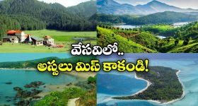CBHFL Recruitment: ఇంటర్, డిగ్రీ ఉంటే చాలు.. ఈ జాబ్స్‌కి అప్లై చేసుకోవచ్చు.. CBHFL నుంచి భారీ నోటిఫికేషన్