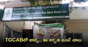 TGCAB: తెలంగాణ టీజీసీఏబీ‌లో పోస్టులు.. ఈ అర్హత ఉంటే చాలు.. ఈ జాబ్ వస్తే నెలకు రూ.97,620
