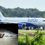 Indigo Passenger Dead: విమానం గాల్లో ఉండగా ప్రయాణికురాలు మృతి.. ఇండిగో అత్యవసర ల్యాండింగ్