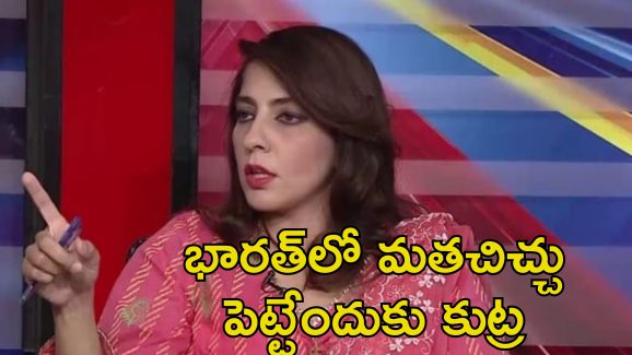 Babri Masjid Pakistan MP: బాబ్రీ మసీదు మళ్లీ నిర్మిస్తాం.. యుద్ధ వాతావరణంలో పాక్ ఎంపీ రెచ్చగొట్టే వ్యాఖ్యలు