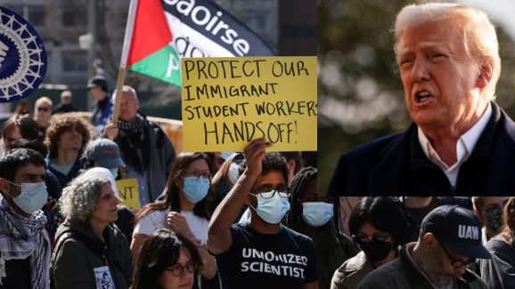 USA Immigrants Deportation: రోజుకు 1000 డాలర్లు ఫైన్, ఆస్తులు స్వాధీనం చేస్తాం.. విద్యార్థులకు వీసా రద్దు చేస్తున్న అమెరికా