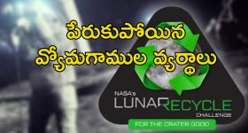 Akkineni Heros : అక్కినేని ఫ్యాన్స్ రెడీ అవండమ్మా... మరో రూ. 100 కోట్లు పక్కా..!