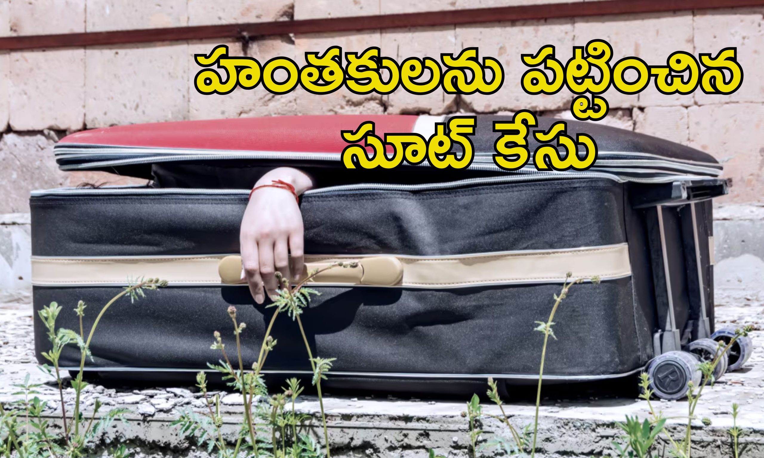 Wife Affair With Nephew: పొలంలో సూట్ కేసు.. అందులో శవం.. భర్త మేనల్లుడిని ప్రేమించిన యువతి..