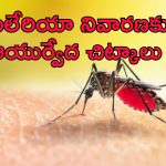 Malaria In Summer: వేసవిలో మలేరియా ప్రమాదం.. నివారణ కోసం ఆయుర్వేదిక్ చిట్కాలు