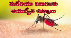 Malaria In Summer: వేసవిలో మలేరియా ప్రమాదం.. నివారణ కోసం ఆయుర్వేదిక్ చిట్కాలు