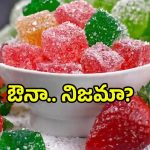 About Jelly: జెల్లీని జంతువుల కొవ్వుతో తయారు చేస్తారా? తినే ముందు ఇది తెలుసుకోండి