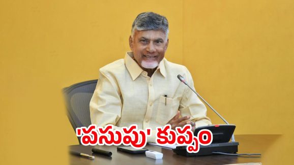 Kuppam Municipal Chairman: టీడీపీ ఖాతాలోకి.. కుప్పం మున్సిపాలిటీ