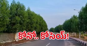 Minister Lokesh: పట్టాల పంపిణీలో మంత్రి లోకేష్ కీలక వ్యాఖ్యలు