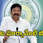 Jogi Ramesh on TDP: వాయిస్ మార్చిన జోగి .. ఎవరికీ భయపడరంట