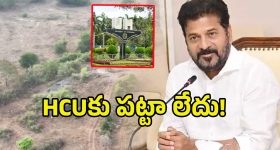 Hcu Land Issue: ఆ భూములు సర్కార్‌వే.. కంచ గచ్చిబౌలి భూములపై.. రెవెన్యూ అధికారుల క్లారిటీ