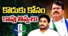 Hair Loss Natural Solution: మీ జుట్టు రాలిపోయిందా?.. చింతించకండి.. బలమైన జుట్టు తిరిగిరావాలంటే ఇలా చేయండి