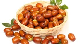 Eatha Pallu Benefits: ఈత పండ్ల గురించి ఎవ్వరికి తెలియని సిక్రెట్ ఇదే!