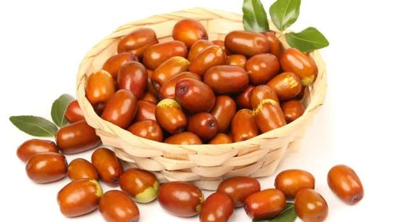 Eatha Pallu Benefits: ఈత పండ్ల గురించి ఎవ్వరికి తెలియని సిక్రెట్ ఇదే!