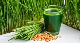Wheat Grass juice: గోధుమ గడ్డి సంజీవని అని మీకు తెలుసా..?