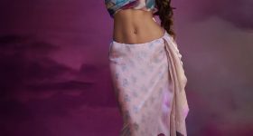 Gopichandh Malineni : నేను బాలయ్య తో చేయబోయే సినిమా వీర సింహ రెడ్డి సినిమాను మించి ఉంటుంది