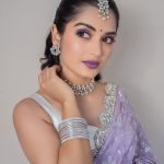 Priyanka Jain: పర్పుల్ థీమ్.. జాబిలమ్మలా మారిన ప్రియాంక.. ఫోటోలు వైరల్..!