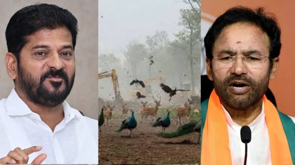 HCU : తప్పుడు ట్వీట్లు మాయం.. అడ్డంగా దొరికిపోతున్న ఫేక్ గాళ్లు..