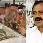 Tirumala Goshala: ఆఖరికి ఆవులపై కూడా అబద్ధాలేనా..?