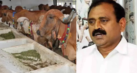 Chitti Pickles Ramya: బెట్టింగ్ యాప్స్ ప్రమోట్ చేశా.. అసలు విషయం చెప్పిన చిట్టి పికెల్స్ రమ్య!
