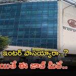 WBPDCL Recruitment: టెన్త్, ఇంటర్ పాసైతే చాలు భయ్యా.. అప్లై చేసుకోవచ్చు.. జీతమైతే నెలకు రూ.94,000