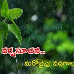 Weather News: జాగ్రత్త..! ఆ నాలుగు జిల్లాలకు వర్షాలే వర్షాలు..