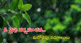 Pahalgam Terror Attack : కశ్మీర్ ఉగ్రదాడి.. పవన్ కళ్యాణ్ కీలక నిర్ణయం